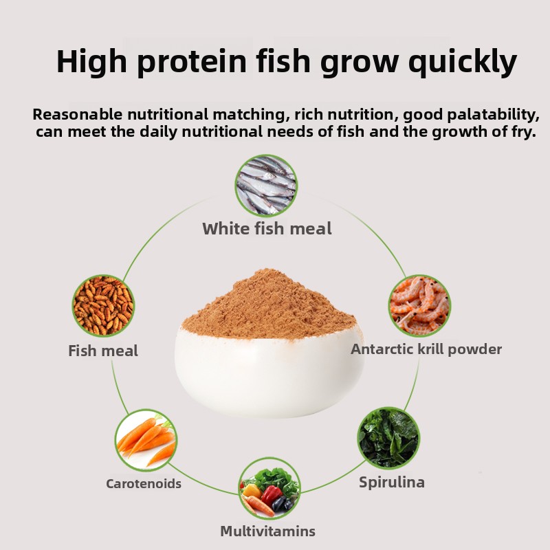 페니슨 파우더 베이비 어류 사료, 구피 새끼, 미니 앵 - Baby Food High In Protein 리뷰 및 가격