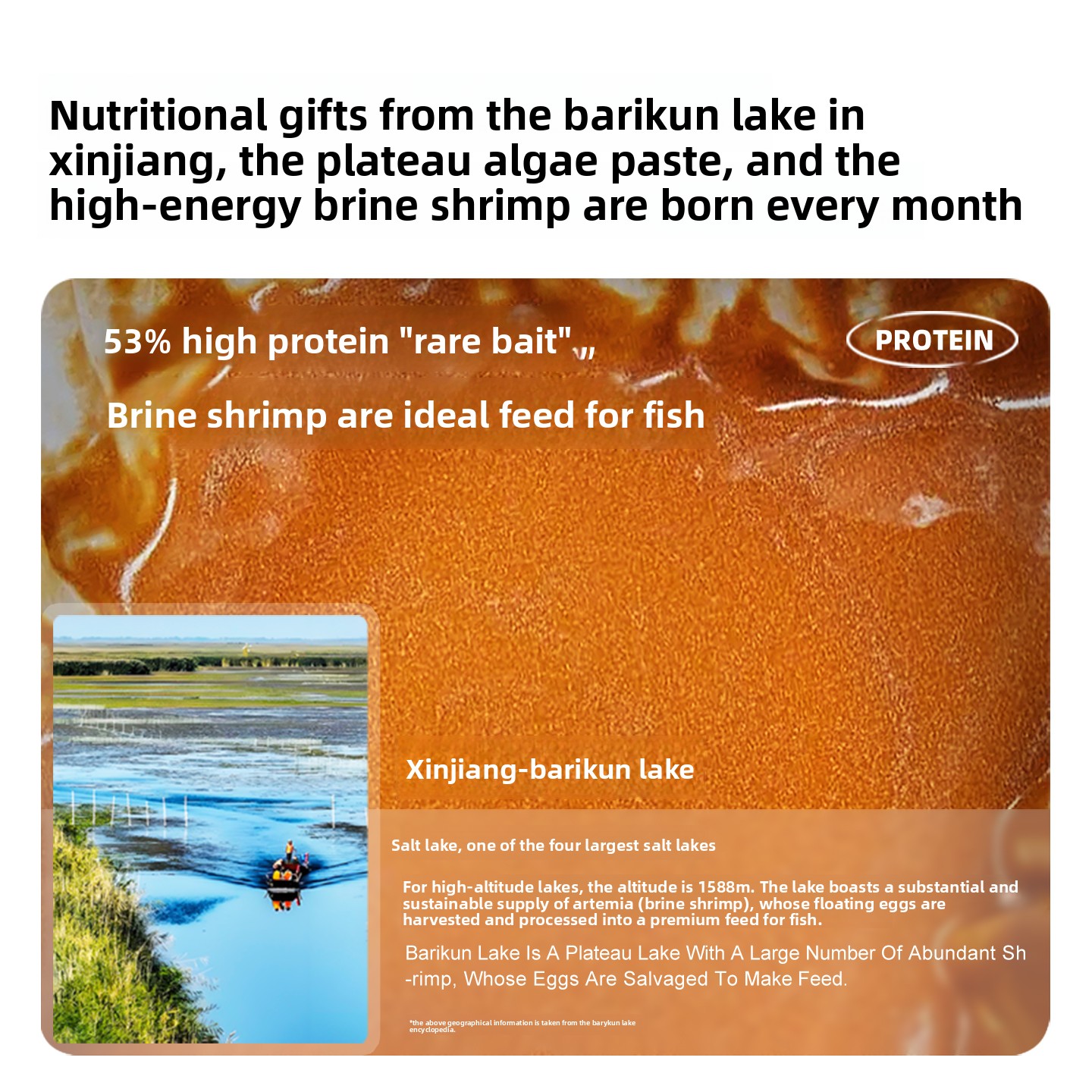 산키이 탈피 브라인 쉬림프 아르테미아, 부화 필요 없음 - Baby Food High In Protein 리뷰 및 가격